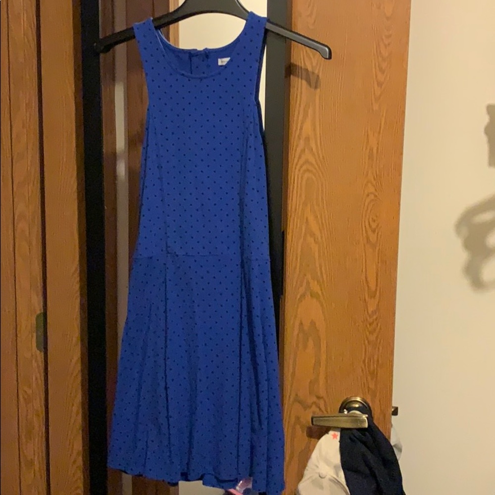 Blue and black Polka dot Skater Dress
